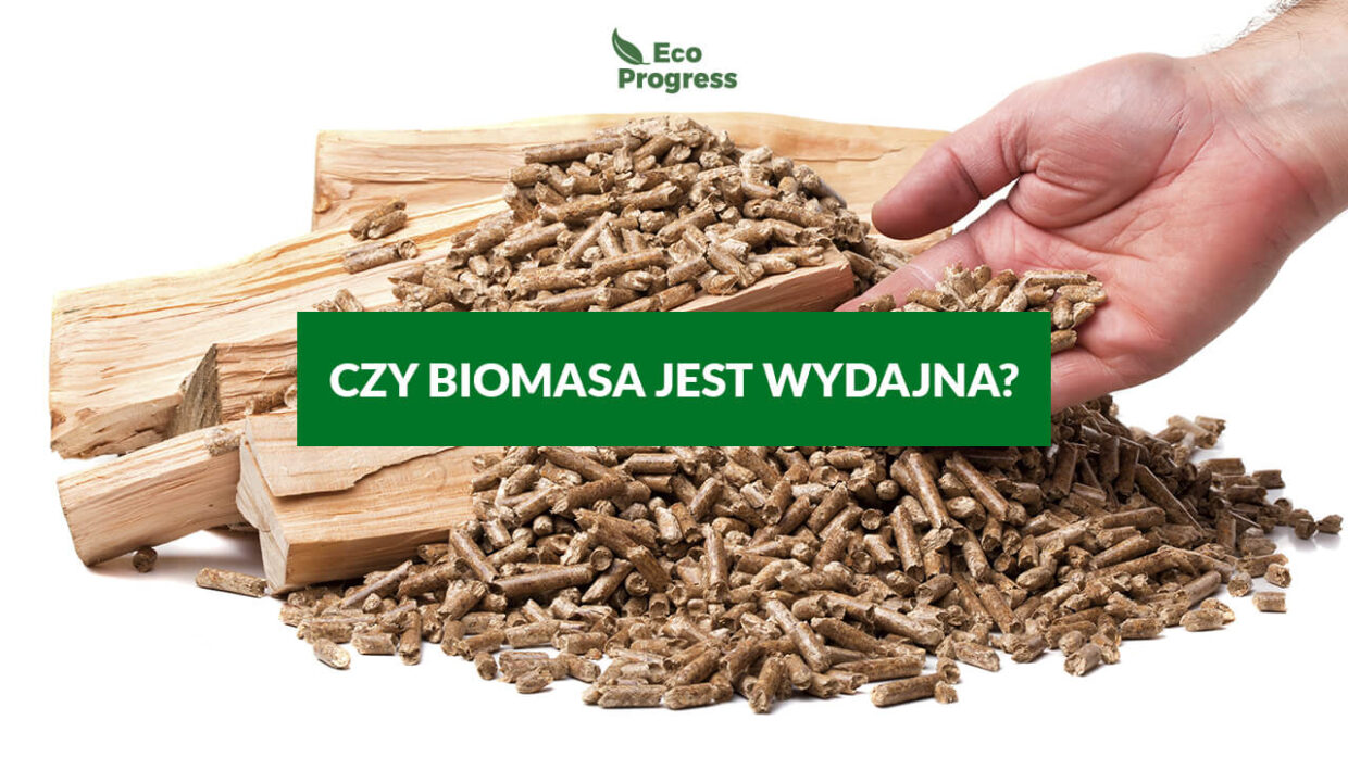 biomasa czy jest wydajna